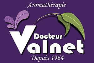 logo_valnet.jpg