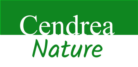 logo-cendrea.jpg
