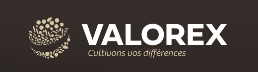 Capture d’écran 2024-09-11 à 11.24.38.png