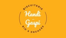 Logo-Handi-Gaspi.png