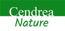 logo-cendrea.jpg
