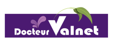 LOGO-VALNET-web.png