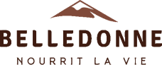Logo-web.png