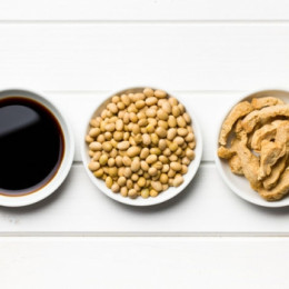 Le soja sous toutes ses formes