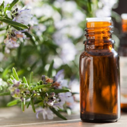 Les formidables bienfaits de l'huile essentielle « tea tree » pour votre peau