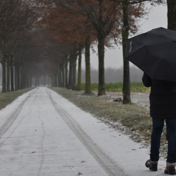 Les huiles essentielles, nos alliées en hiver