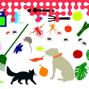 Maison : les pesticides sont partout !