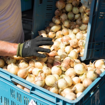 Produits locaux et réseau bio