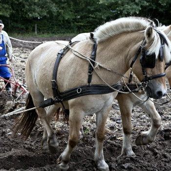 Ça donne à réfléchir : RECULER POUR MIEUX AVANCER ?