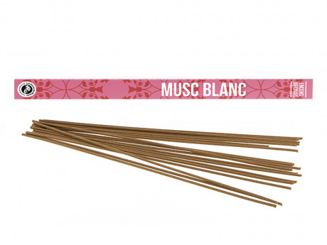 Encens découverte musc blanc
