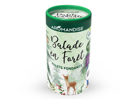 Palets fondants balade en forets