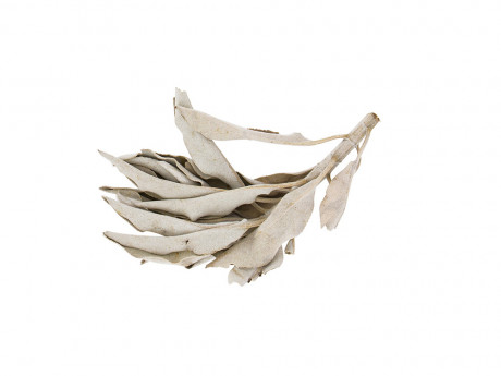 Resines d'encens sauge de californie Aromandise