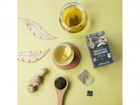 Sencha de uji et gingembre infusettes