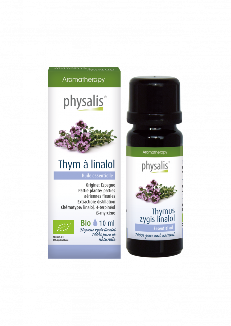 Thym à linalol