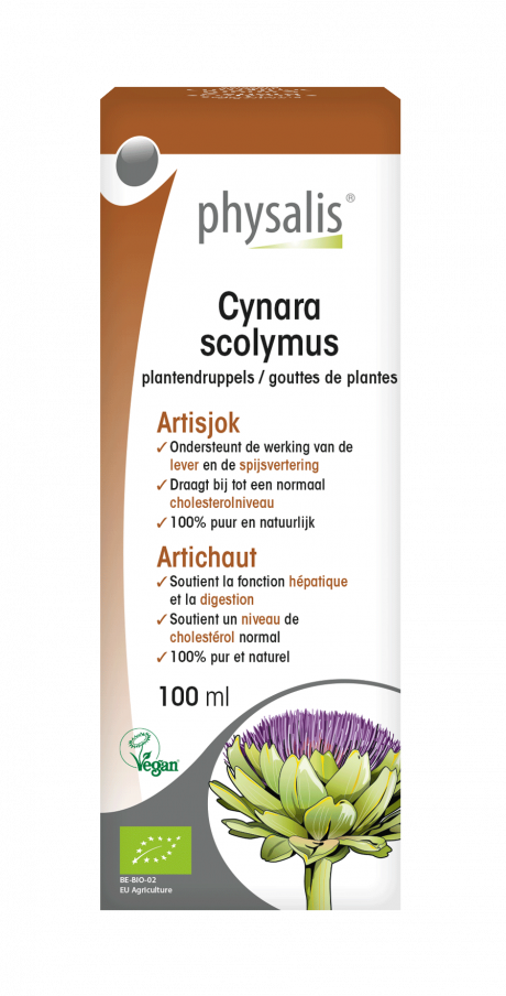 Cynara scolymus