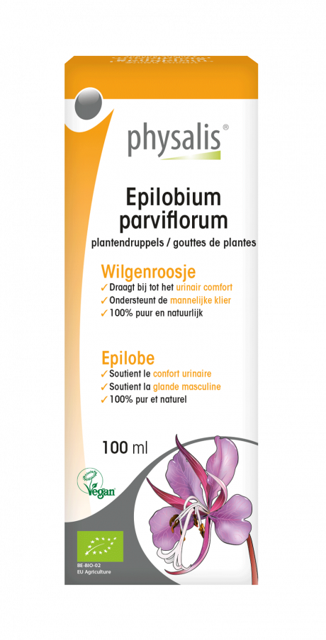 Epilobium parviflorum