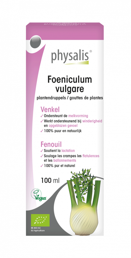 Foeniculum vulgare