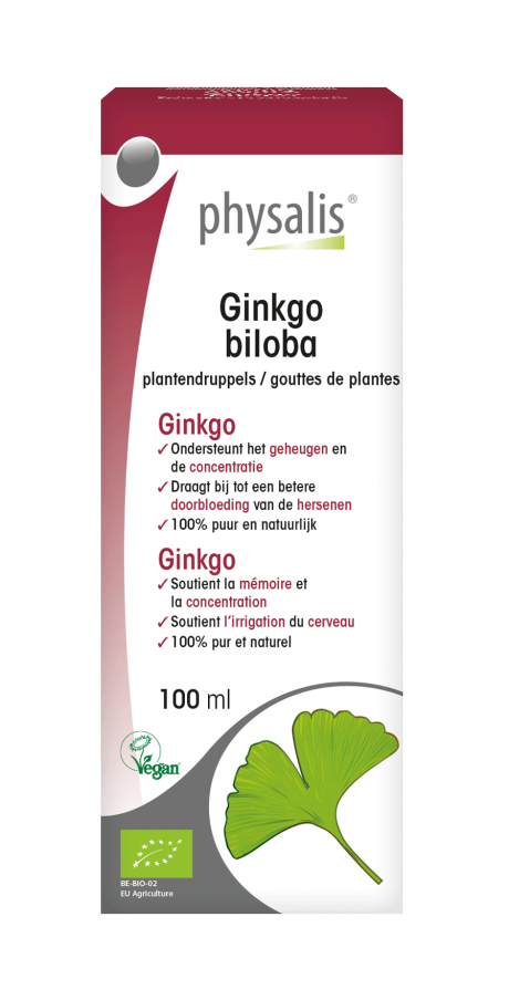 Ginkgo biloba