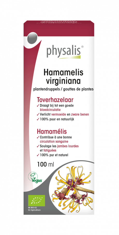Hamamelis virginiana