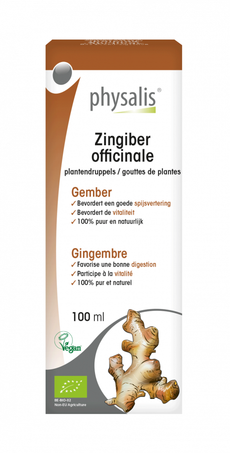 Zingiber officinale