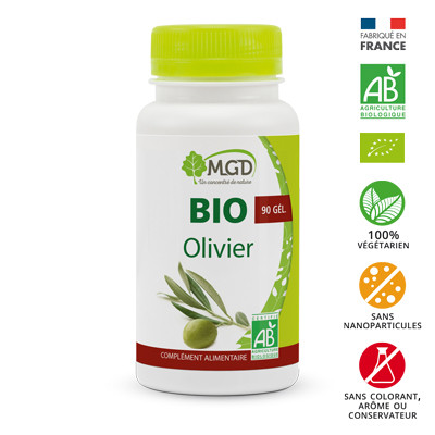 Olivier (feuille, Olea europaea) 