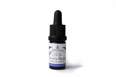 Élixir air de la ruche