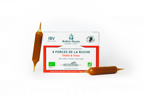 Préparation dynamisée 4 Forces de la Ruche