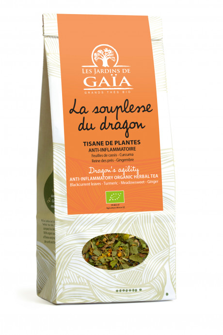 LA-SOUPLESSE-DU-DRAGON.jpg