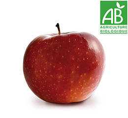 pomme-bio_ariane2.jpg