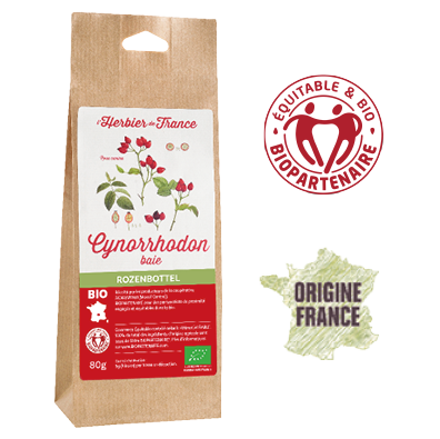 CynorrhodonLherbierDeFrance_BioEquitableBiopartenaireOrigineFrance.png