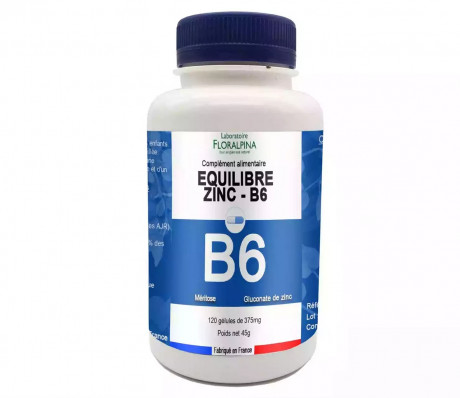 Equilibre Zinc/B6 120 gélules 