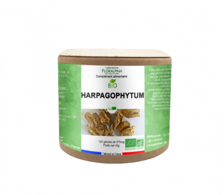 Harpagophytum bio 120 gélules 
