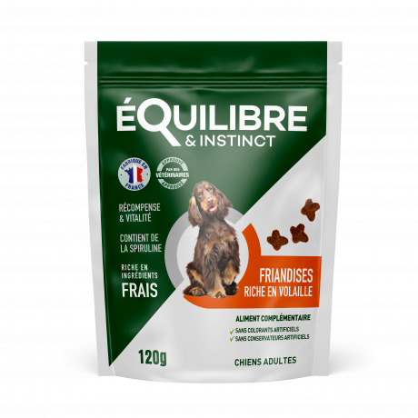 Friandises chien spiruline