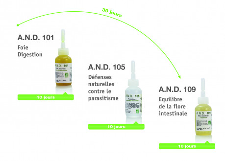 Plan de santé