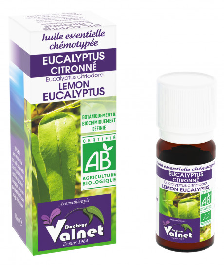 Eucalyptus Citronné