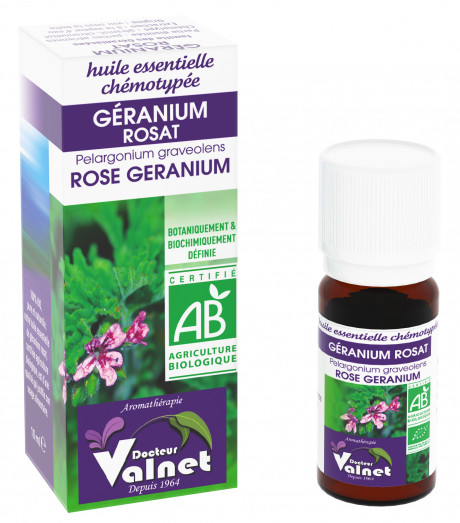 Géranium Rosat 