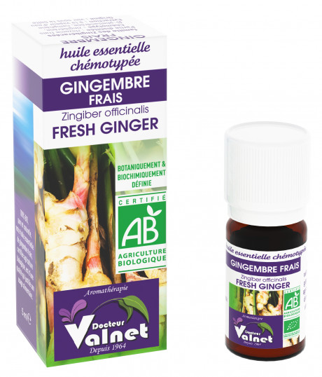 Gingembre frais
