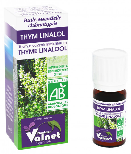 Thym à linalol 