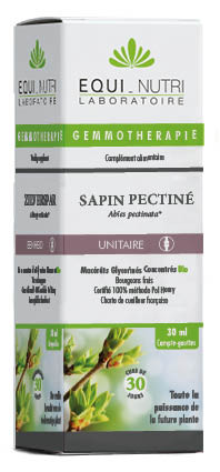 Sapin Pectiné
