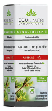 Arbre De Judée France Uniquement