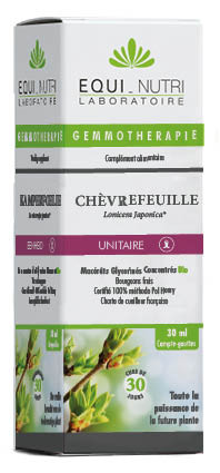 Chèvrefeuille