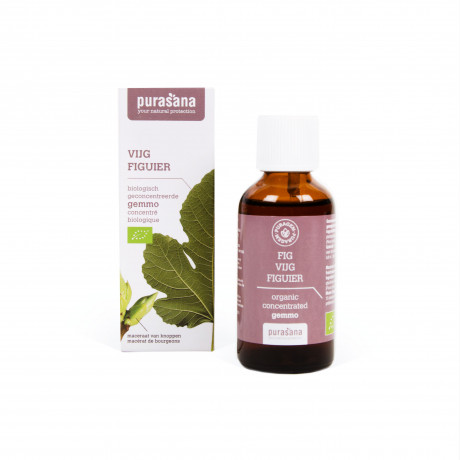 Figuier* 50 Ml Macerat Unitaire