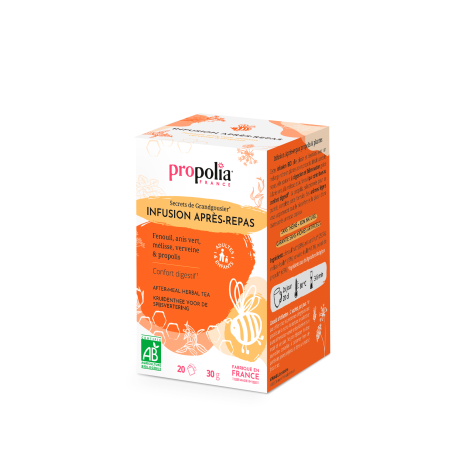 Maquette INFUDIG.png