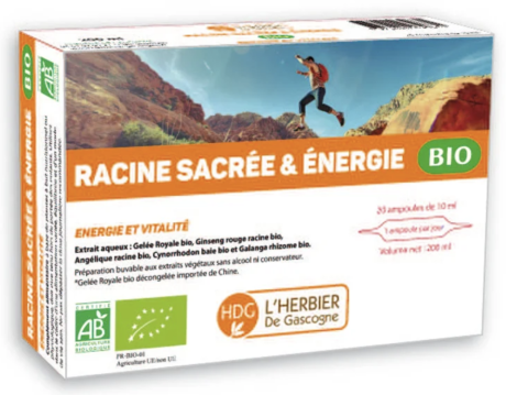 Capture d’écran 2022-12-14 à 16.34.01.png