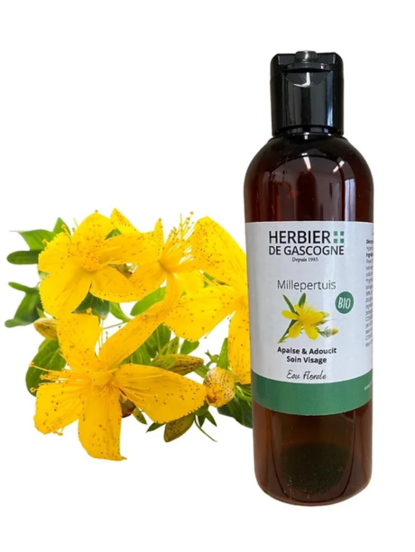 Capture d’écran 2022-12-14 à 17.47.56.png