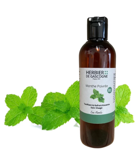 Capture d’écran 2022-12-14 à 17.47.50.png