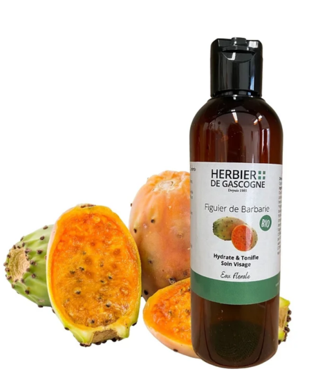 Capture d’écran 2022-12-14 à 17.47.05.png