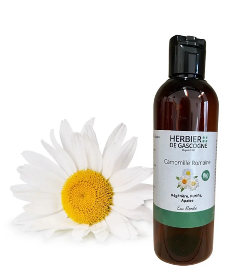 Capture d’écran 2022-12-14 à 17.46.57.png