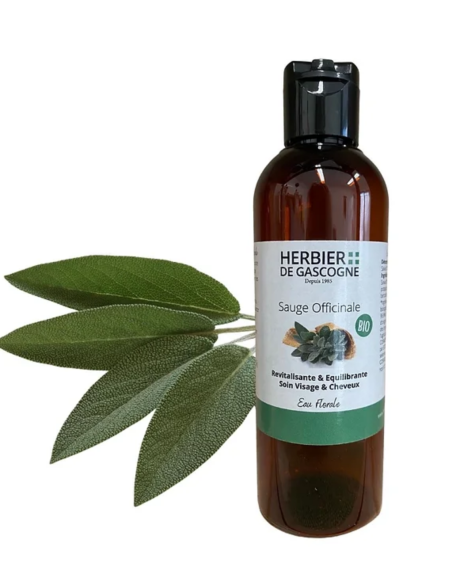 Capture d’écran 2022-12-14 à 17.55.47.png