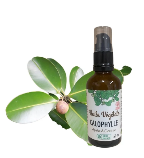 Capture d’écran 2022-12-14 à 18.03.13.png